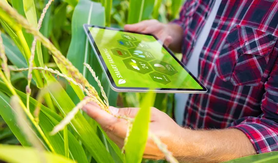 Kestria institute | Global mobility for talented agribusiness professionals