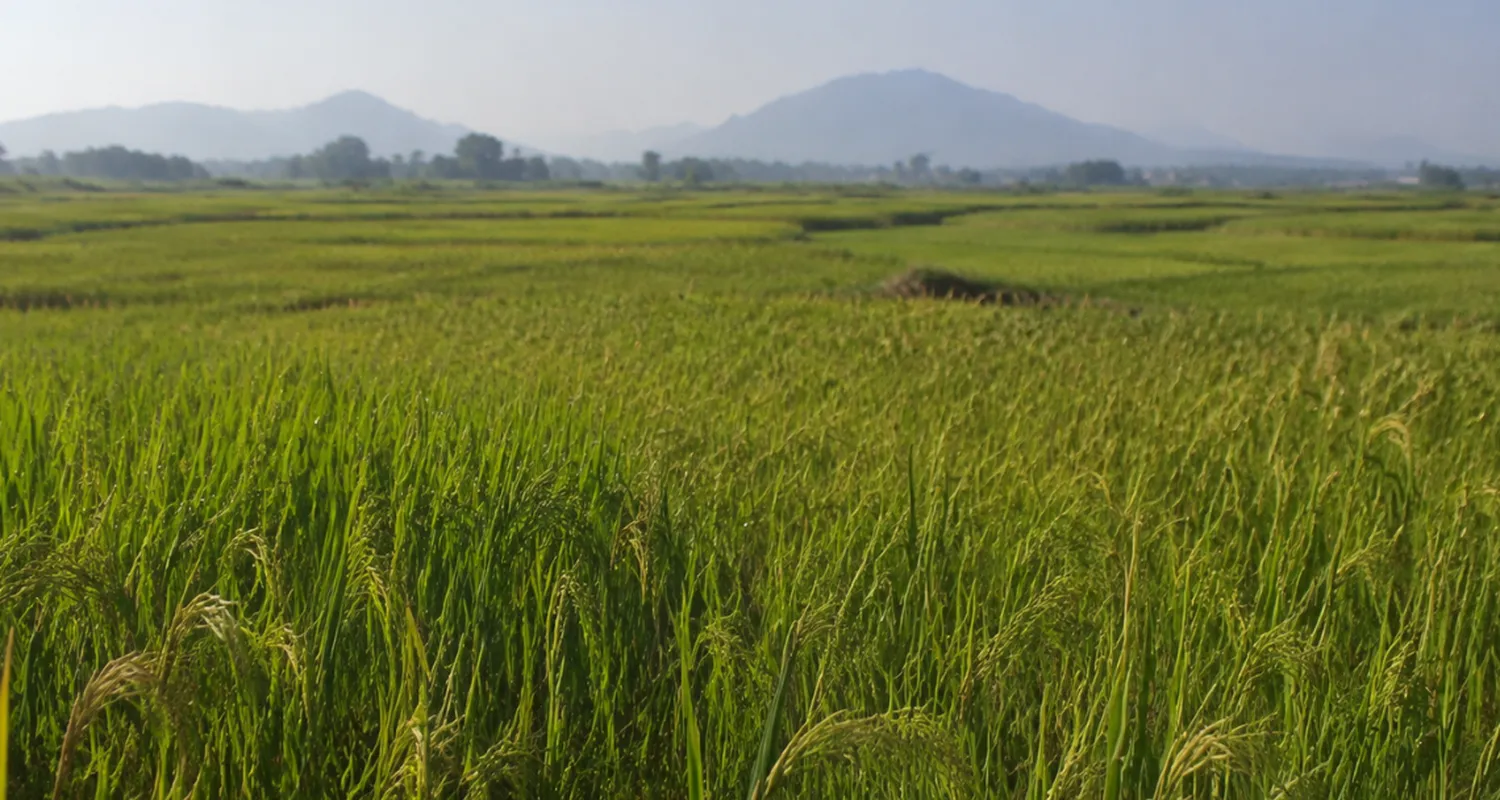 The future of bio-stimulants in sustainable agriculture
