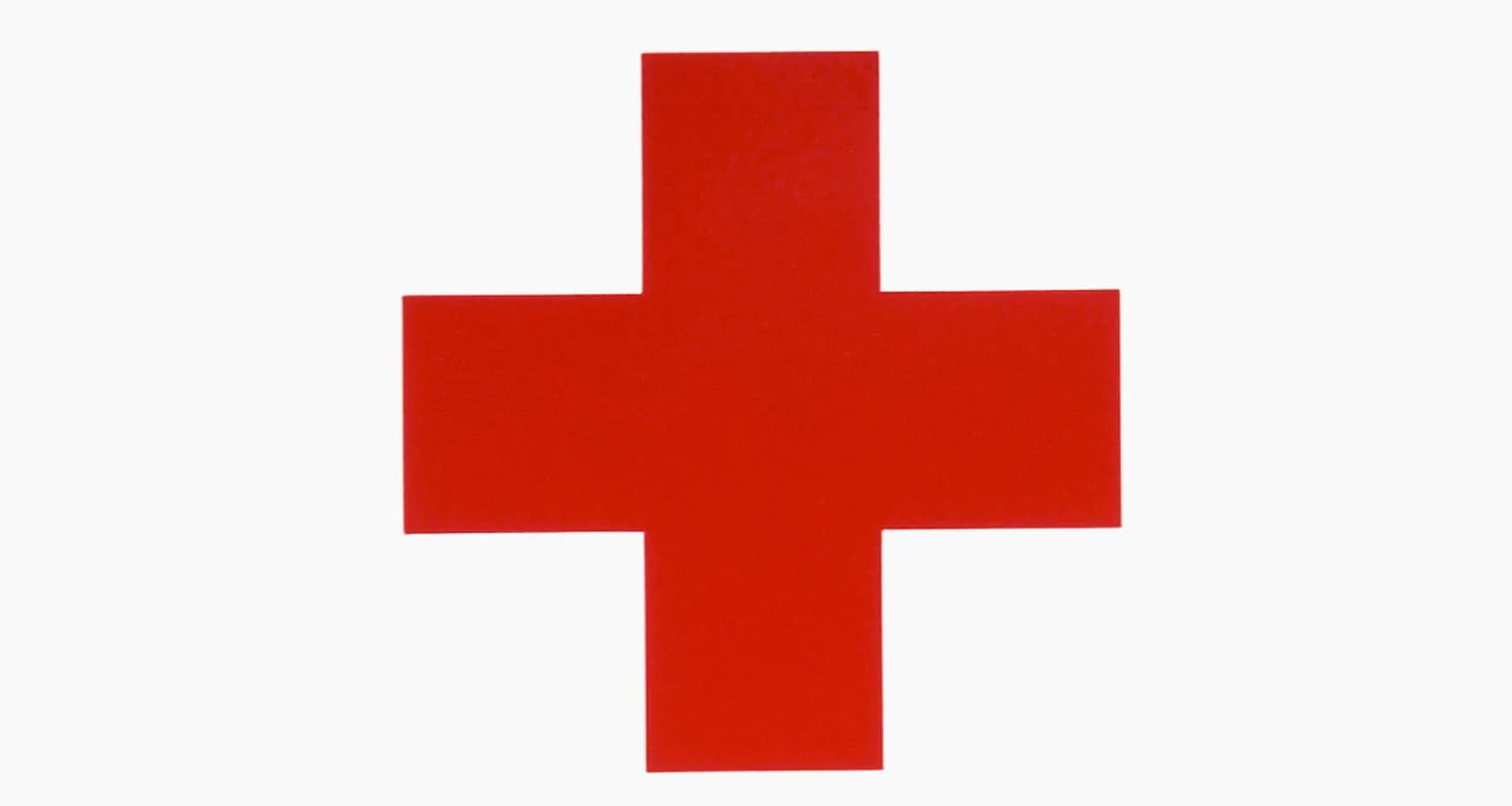 New Zealand Red Cross – re-shaping its leadership trajectory through executive search